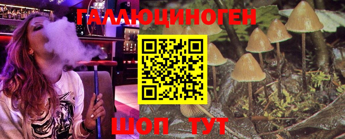 Галлюциногенные грибы мицелий Елабуга