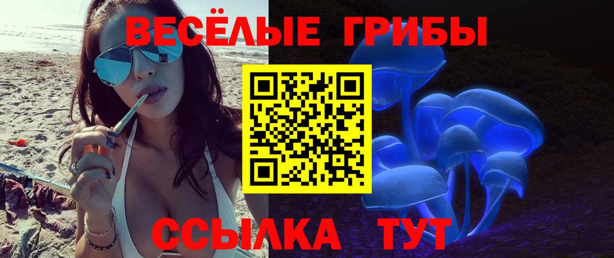 Галлюциногенные грибы GOLDEN TEACHER  Вход с VPN  Елабуга 